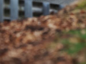 RMA Track Day 27th February - Oulton Park International