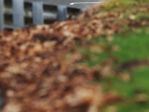 RMA Track Day 27th February - Oulton Park International