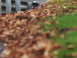 RMA Track Day 27th February - Oulton Park International