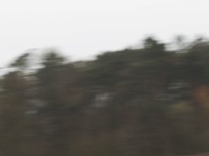 RMA Track Day 6th March - Donington Park GP