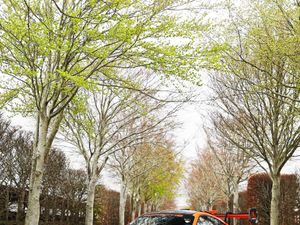 RMA Track Day 4th April - Goodwood