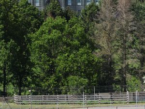 RMA Track Day 12th May - Donington Park GP Unsilenced