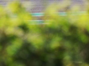 RMA Track Day 12th May - Donington Park GP Unsilenced