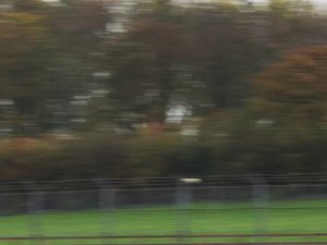 RMA Track Day 20th October - Donington Park GP - Porsche Event